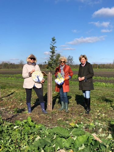 3 Soroptimistinnen pflanzen 1 Baum