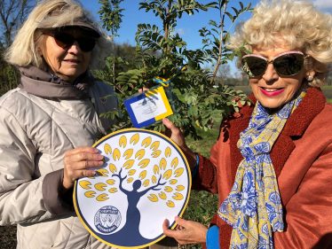 Das Treesforwomen Logo für die Bäume