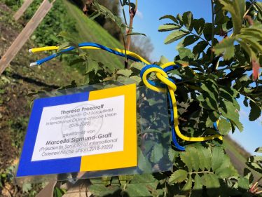 SI Treesforwomen Markierung